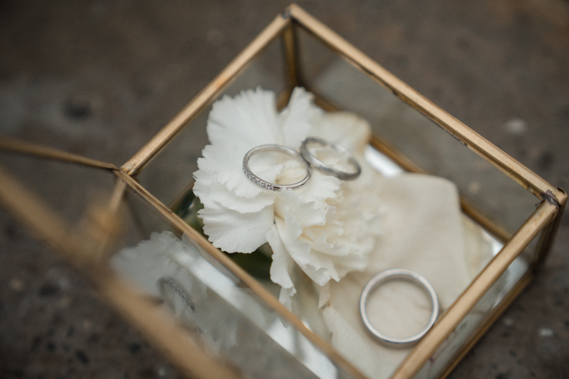 Laura & Thomas – Hochzeit im Refugium Hochstrass, Bild 8