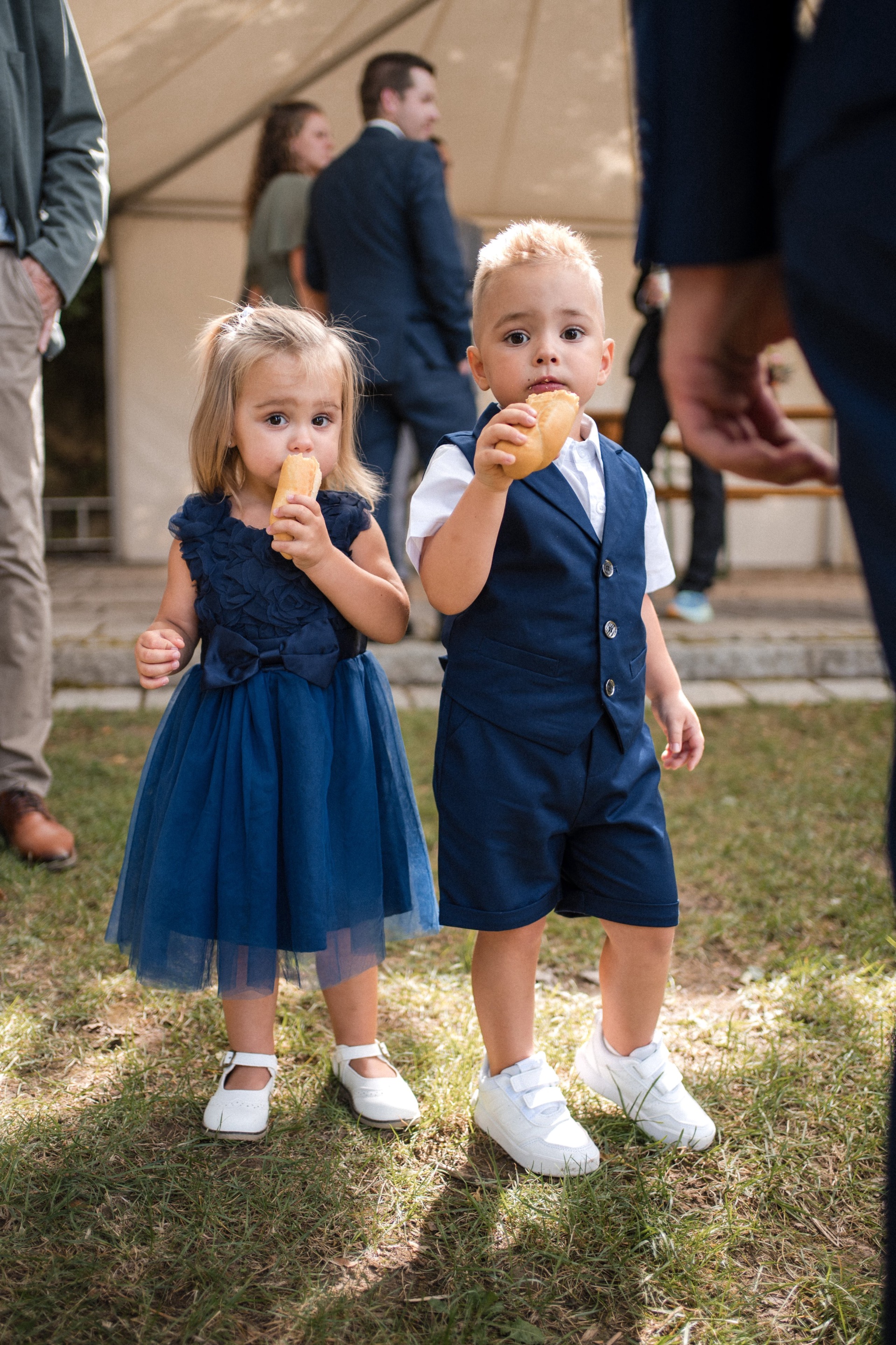 Lukas & Saskia – Hochzeit in der Gartenbauschule Langenlois, Bild 66