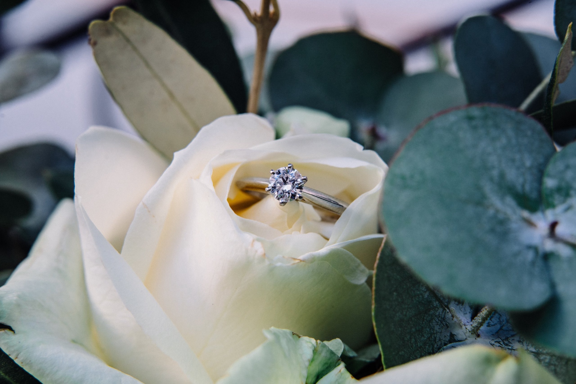 Hochzeit im Schloss Rosenau – Nadine & David (Niederösterreich)