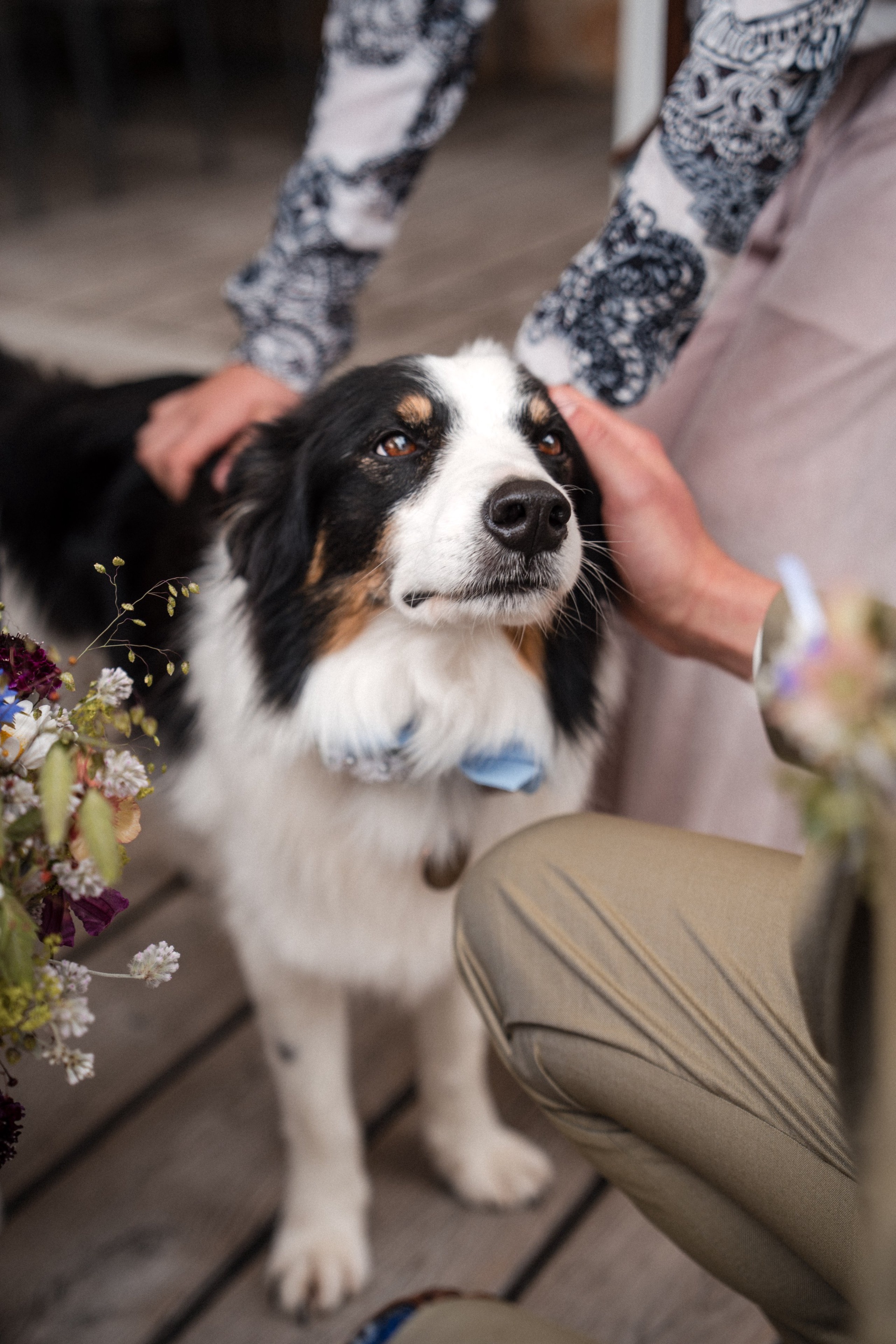 Teresa & Max – Hochzeit auf der Jezz Alm, Bild 44